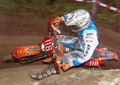 Bilder der Galerie