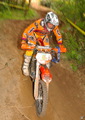 Bilder der Galerie