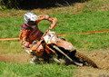 Bilder der Galerie