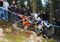 Bilder der Galerie
