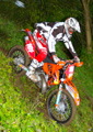 Bilder der Galerie