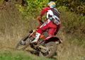 Bilder der Galerie