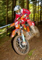 Bilder der Galerie