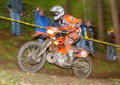Bilder der Galerie