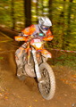 Bilder der Galerie