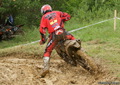 Bilder der Galerie