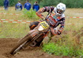 Bilder der Galerie