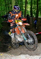 Bilder der Galerie