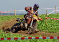 Bilder der Galerie
