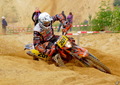 Bilder der Galerie