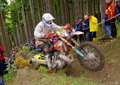 Bilder der Galerie