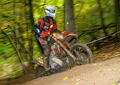 Bilder der Galerie