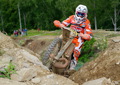 Bilder der Galerie