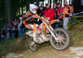 Bilder der Galerie