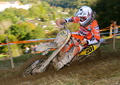 Bilder der Galerie