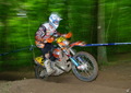 Bilder der Galerie