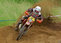 Bilder der Galerie