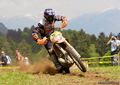 Bilder der Galerie