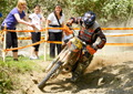 Bilder der Galerie