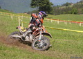 Bilder der Galerie