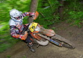 Bilder der Galerie